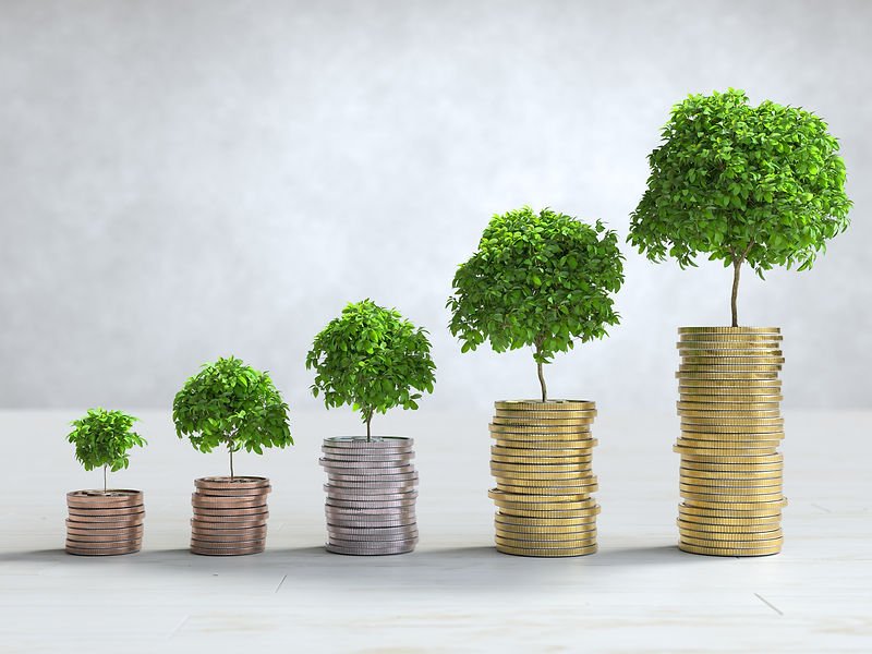 Coin stacks with growing trees, representing sustainable growth